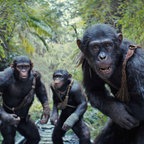 Szene aus dem Film: "Planet der Affen - New Kingdom" © 2023 20th Century Studios. All Rights Reserved. 