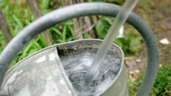 Eine Gießkanne wird mit Wasser gefüllt. Eine Gießkanne wird mit Wasser gefüllt. © NDR Foto: Udo Tanske
