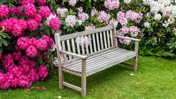 Gartenbank vor blühenden Rhododendron-Büschen © fotolia. Foto: Debu55y